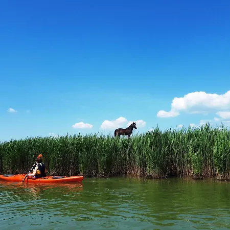 Traditional House In Danube Delta Vilă