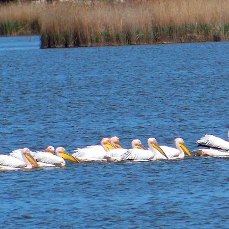 Traditional House In Danube Delta Villa Jurilovca