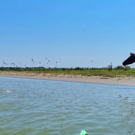 Villa Traditional House In Danube Delta *