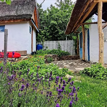 Traditional House In Danube Delta