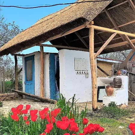 Traditional House In Danube Delta * Jurilovca