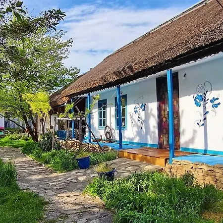 Traditional House In Danube Delta Villa Jurilovca