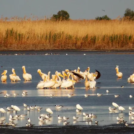 Villa Traditional House In Danube Delta *