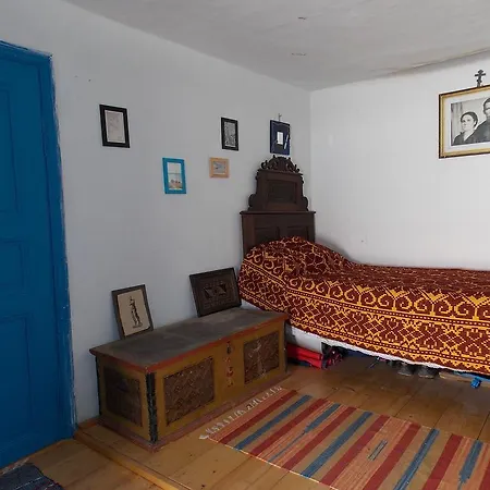 Traditional House In Danube Delta Jurilovca