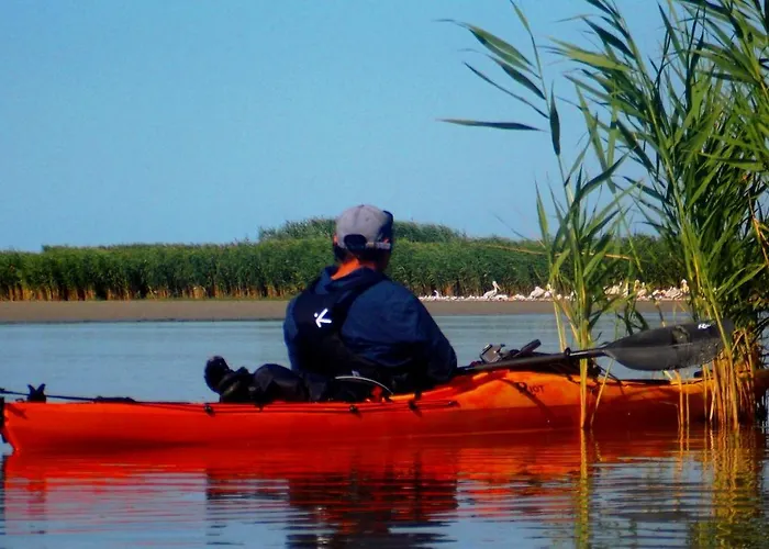 Traditional House In Danube Delta