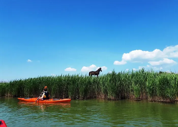 Traditional House In Danube Delta Villa
