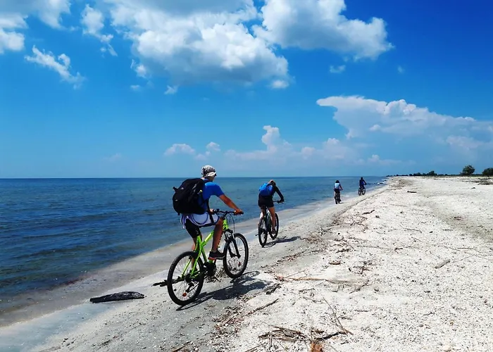 Traditional House In Danube Delta * Jurilovca