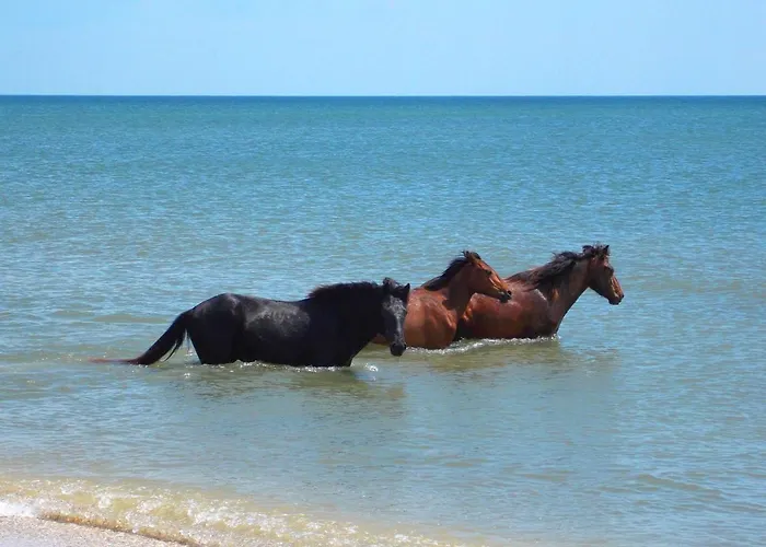 Traditional House In Danube Delta * Jurilovca