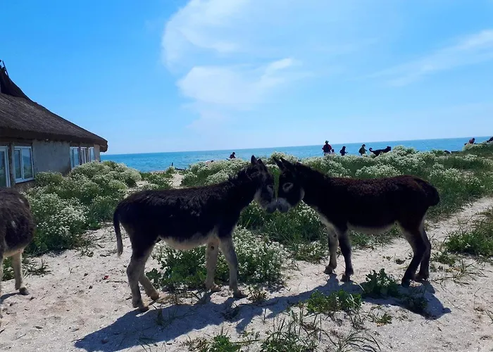 Traditional House In Danube Delta * Jurilovca