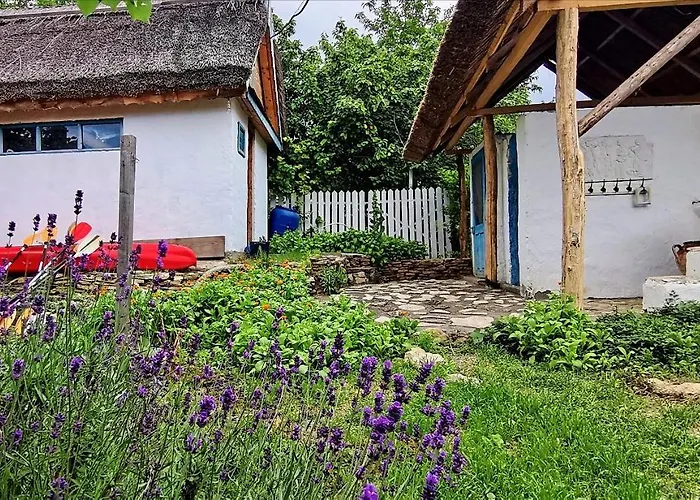 Traditional House In Danube Delta
