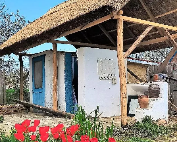 Traditional House In Danube Delta * Jurilovca