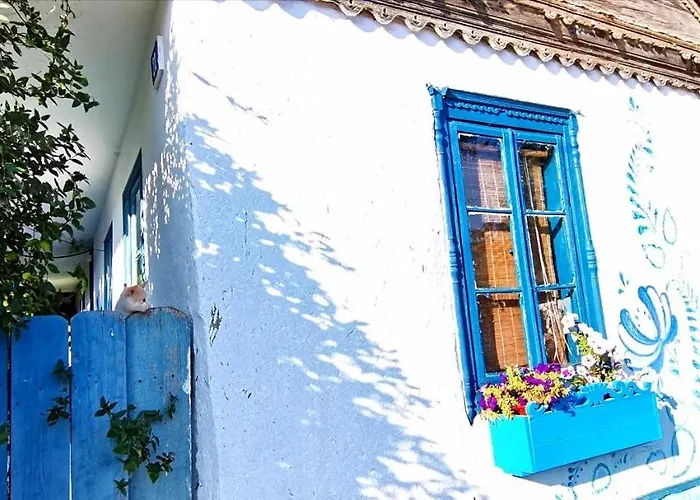 Villa Traditional House In Danube Delta *