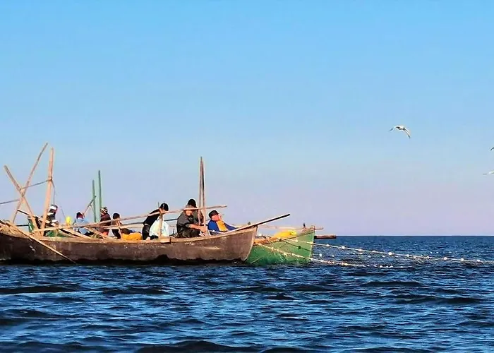 Traditional House In Danube Delta * Jurilovca