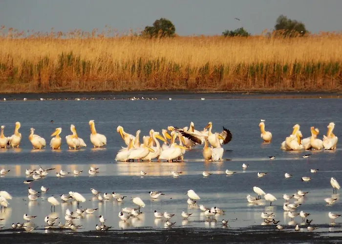 Villa Traditional House In Danube Delta *