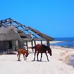 Villa Traditional House In Danube Delta