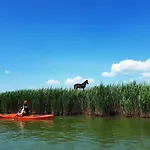 Traditional House In Danube Delta Villa