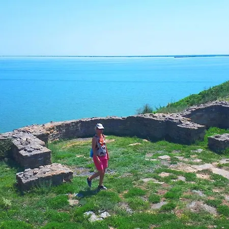 Traditional House In Danube Delta