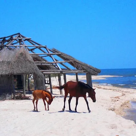 Villa Traditional House In Danube Delta