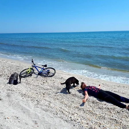 Traditional House In Danube Delta Villa