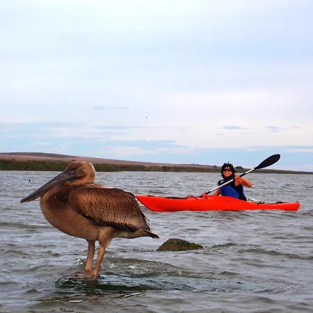 Traditional House In Danube Delta Villa