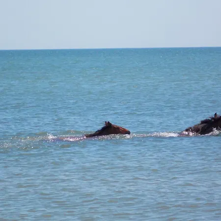 Traditional House In Danube Delta Villa Jurilovca
