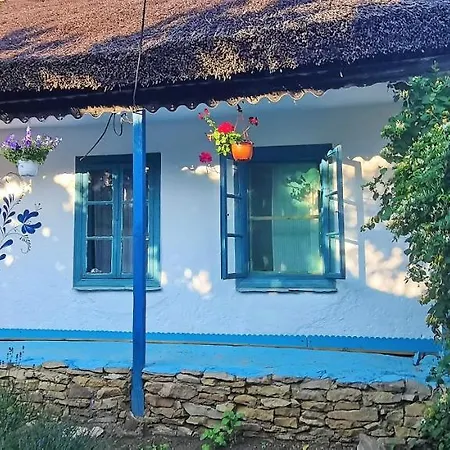 Villa Traditional House In Danube Delta