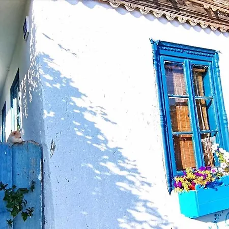 Villa Traditional House In Danube Delta *