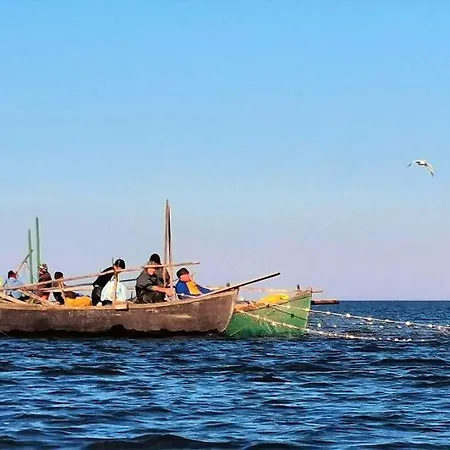 Traditional House In Danube Delta * Jurilovca