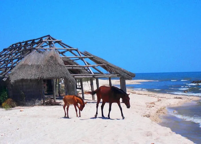 ヴィラ Traditional House In Danube Delta