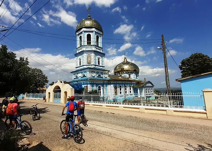 Traditional House In Danube Delta ヴィラ ジュリロヴカ