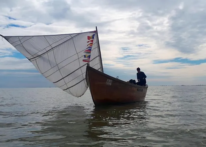 Traditional House In Danube Delta ヴィラ *