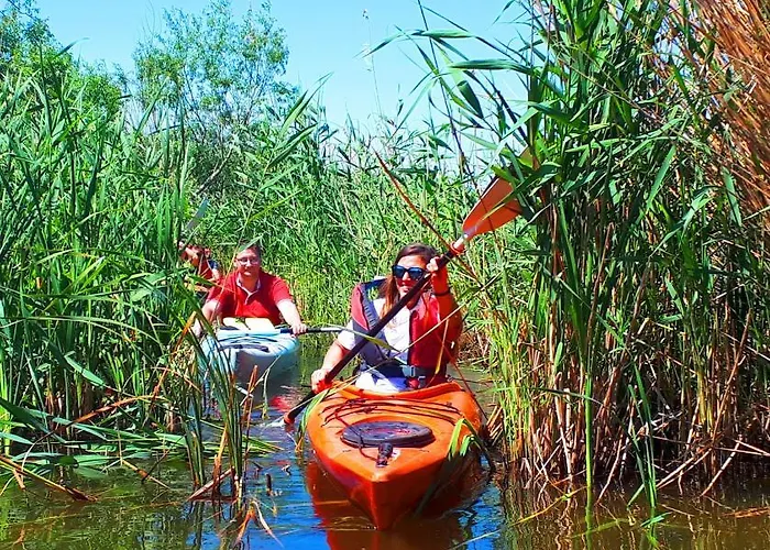 Traditional House In Danube Delta ジュリロヴカ