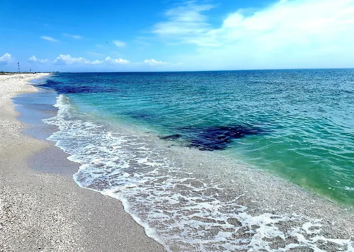 Traditional House In Danube Delta * ジュリロヴカ