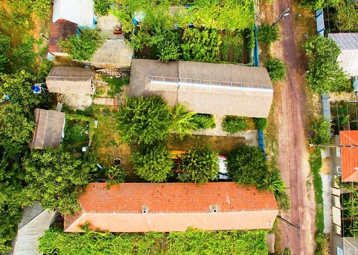 Traditional House In Danube Delta ジュリロヴカ