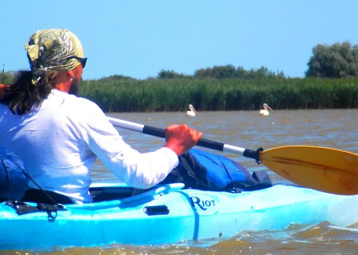 Traditional House In Danube Delta