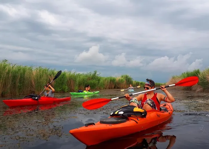 ヴィラ Traditional House In Danube Delta *