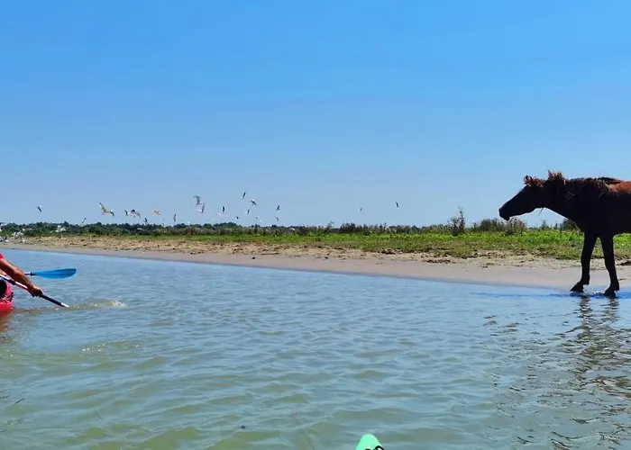 ヴィラ Traditional House In Danube Delta *