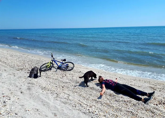 Traditional House In Danube Delta ヴィラ