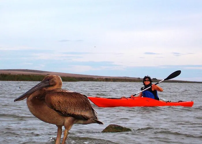 Traditional House In Danube Delta ヴィラ
