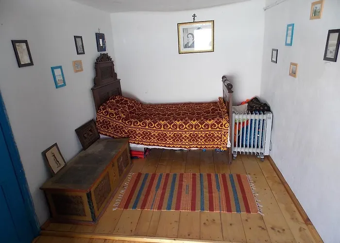 Traditional House In Danube Delta ジュリロヴカ